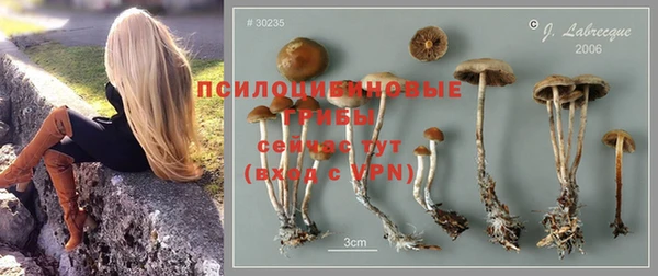 метадон Арсеньев